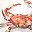 Red Crab