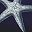 Starfish
