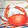 Crab And Starfish