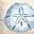 Sand Dollar