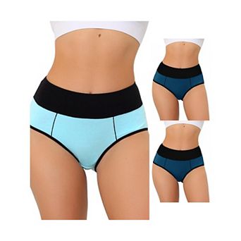 3 Packs Women's Highwaisted Tummy Control Briefs, Available In Plus Sizes