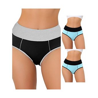 3 Packs Women's Highwaisted Tummy Control Briefs, Available In Plus Sizes