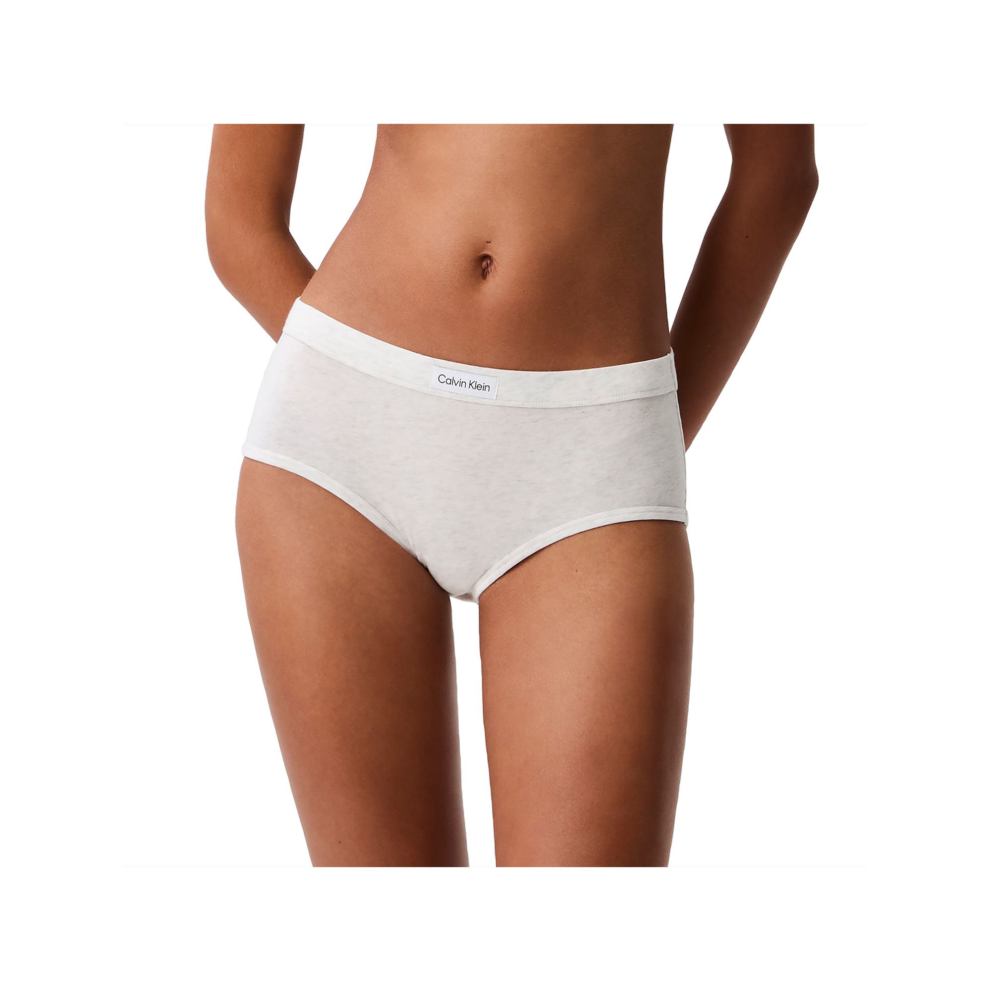 Womens Calvin Klein Classic Comfort Modern Brief QF8485, Size: Small, Snow