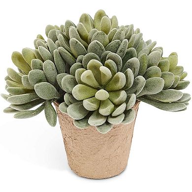 6x Artificial Succulents Unpotted Faux Echeveria Succulent Plants Green, 5 Inch