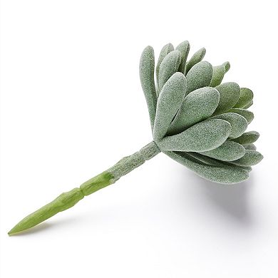 6x Artificial Succulents Unpotted Faux Echeveria Succulent Plants Green, 5 Inch