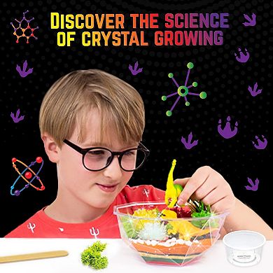 Original Stationery Dinosaur Crystal Growing Kit For Kids 7+