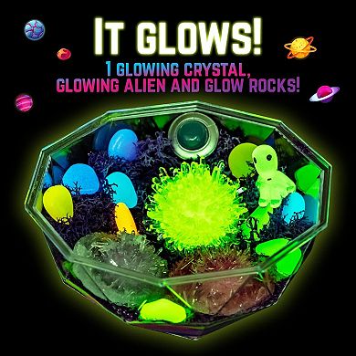 31-Pieces Grow Your Own Crystals Galaxy Terrarium Kit, Ideal Holiday Gift