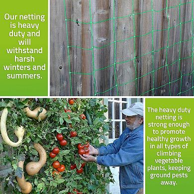 Trellis Netting For Climbing Garden Plants, Easy To Install Plant Net