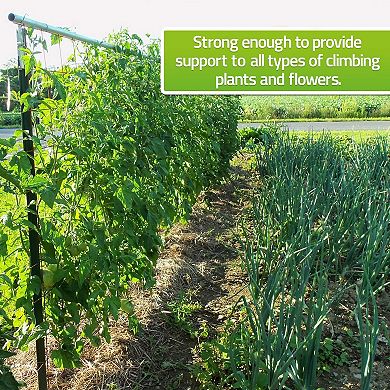 Trellis Netting For Climbing Garden Plants, Easy To Install Plant Net