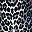 Black Spot