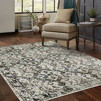 StyleHaven Griffin Distressed Traditional Charcoal & Gray Classic Pattern Area Rug