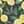 Black Citrus Floral