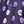 Purple Floral