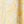 Yellow Ditsy