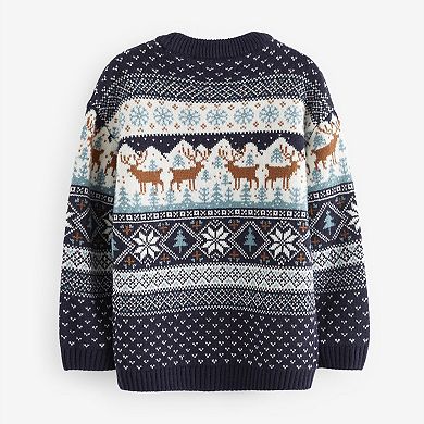Boys 4-12 NEXT Family Fairisle Holiday Knit Sweater