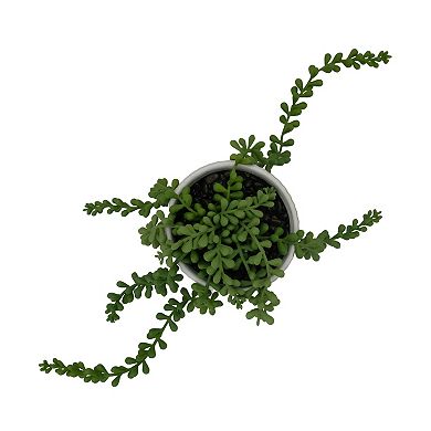 Everyday Decor Artificial String of Pearls in Ceramic Pot