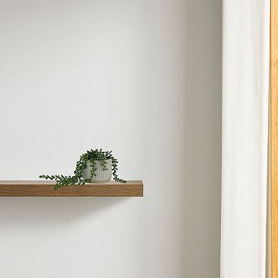 Everyday Decor Artificial String of Pearls in Ceramic Pot