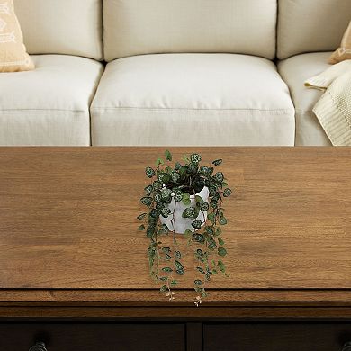 Everyday Decor Artificial Trailing String of Hearts in Planter