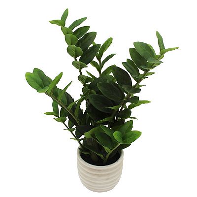 Everyday Decor Artificial ZZ Plant in Ceramic Planter