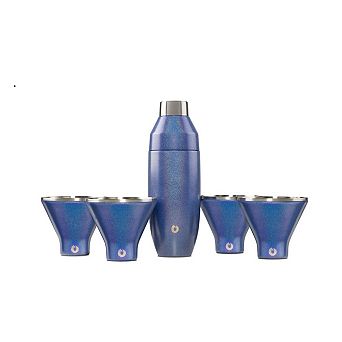 Stainless Steel Cocktail Shaker And Martini Glass Set