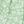 Ligth Green Floral