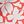 Coral Painted Floral