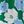 Green Peri Floral