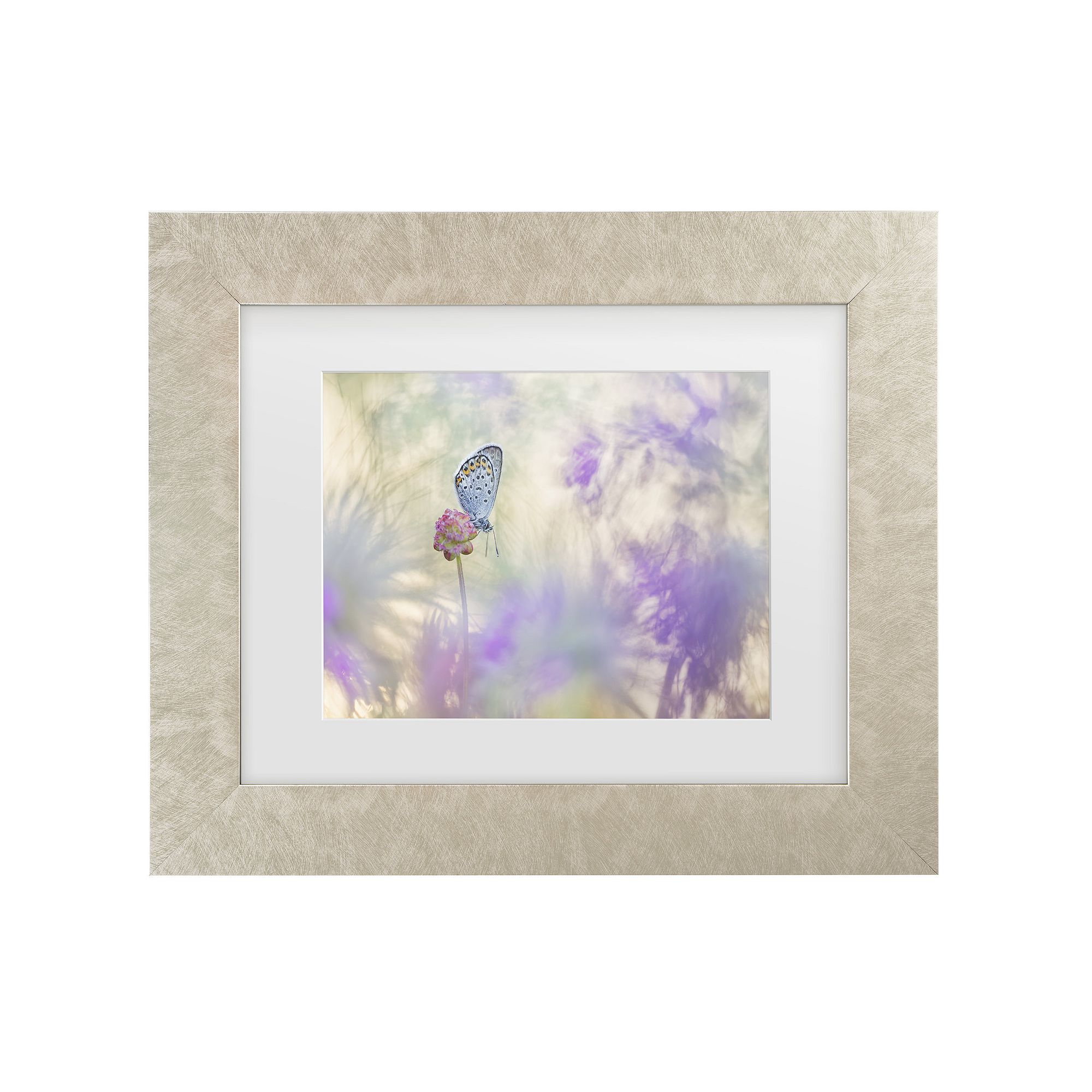 Henrik Spranz Pulsatilla Meadow Framed Wall Art with Mat, Beige