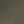 Gray Olive