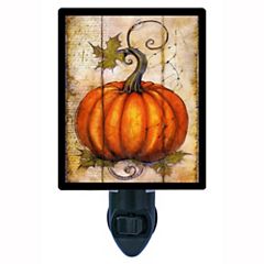 Night Lights Shop Plug In Night Lamps for Kids Adults Kohl s