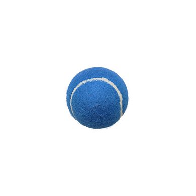 Woof 18-Pack Tub of Tennis Balls