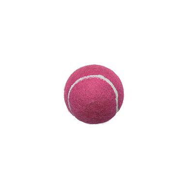 Woof 18-Pack Tub of Tennis Balls