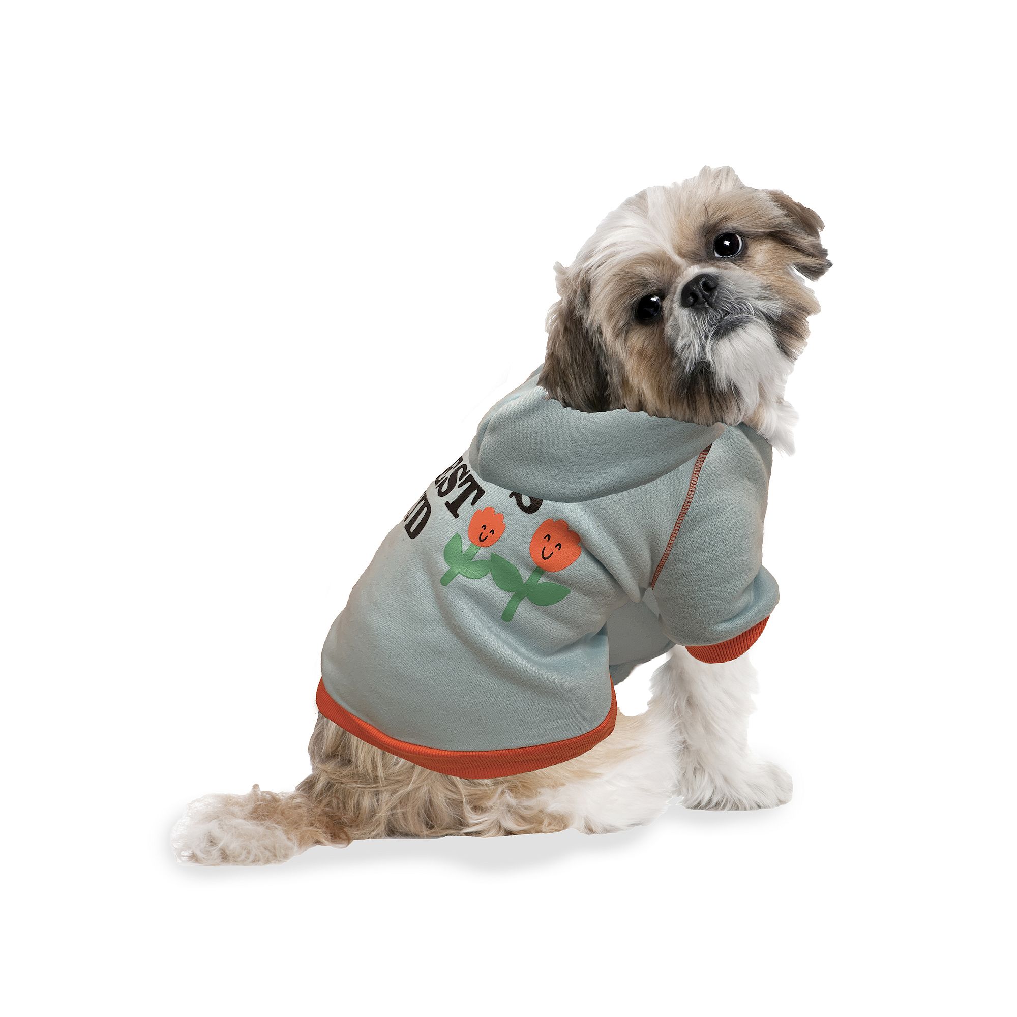 Woof Moms Best Bud Dog Hoodie, Size: Small, Multi