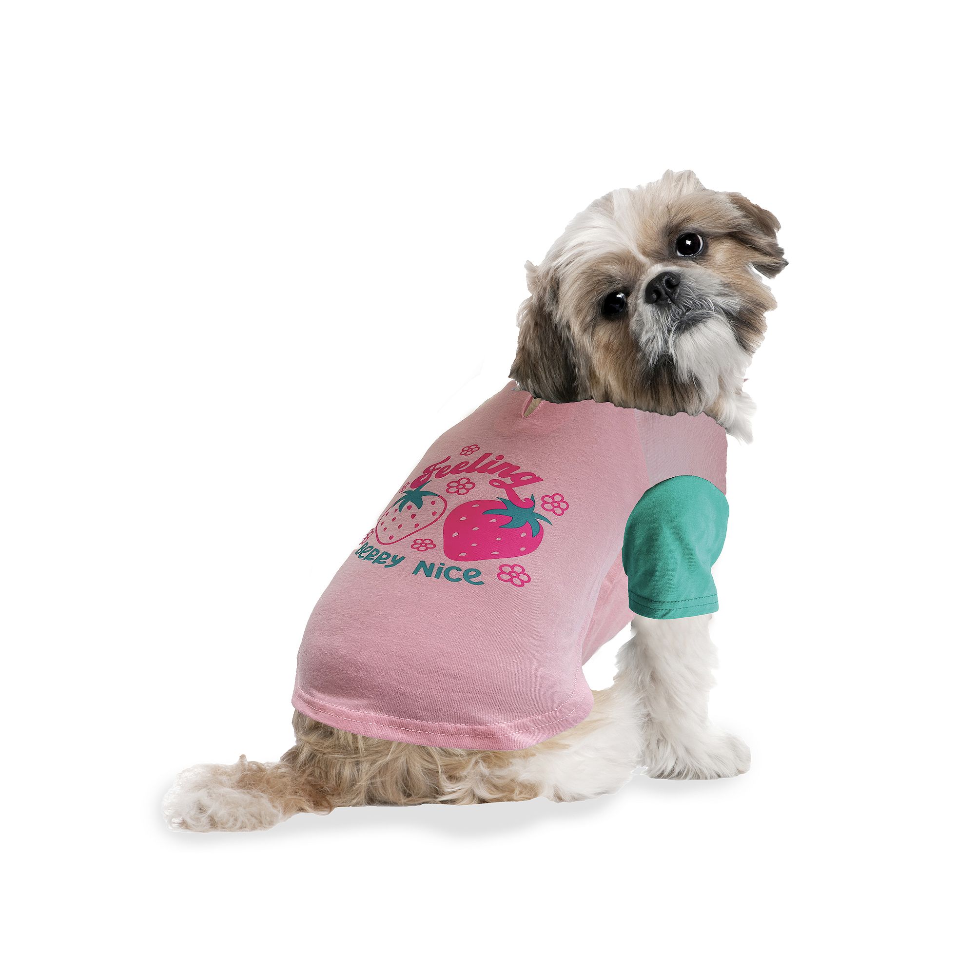 Woof Feeling Berry Nice Dog Tee, Size: XL, Multi