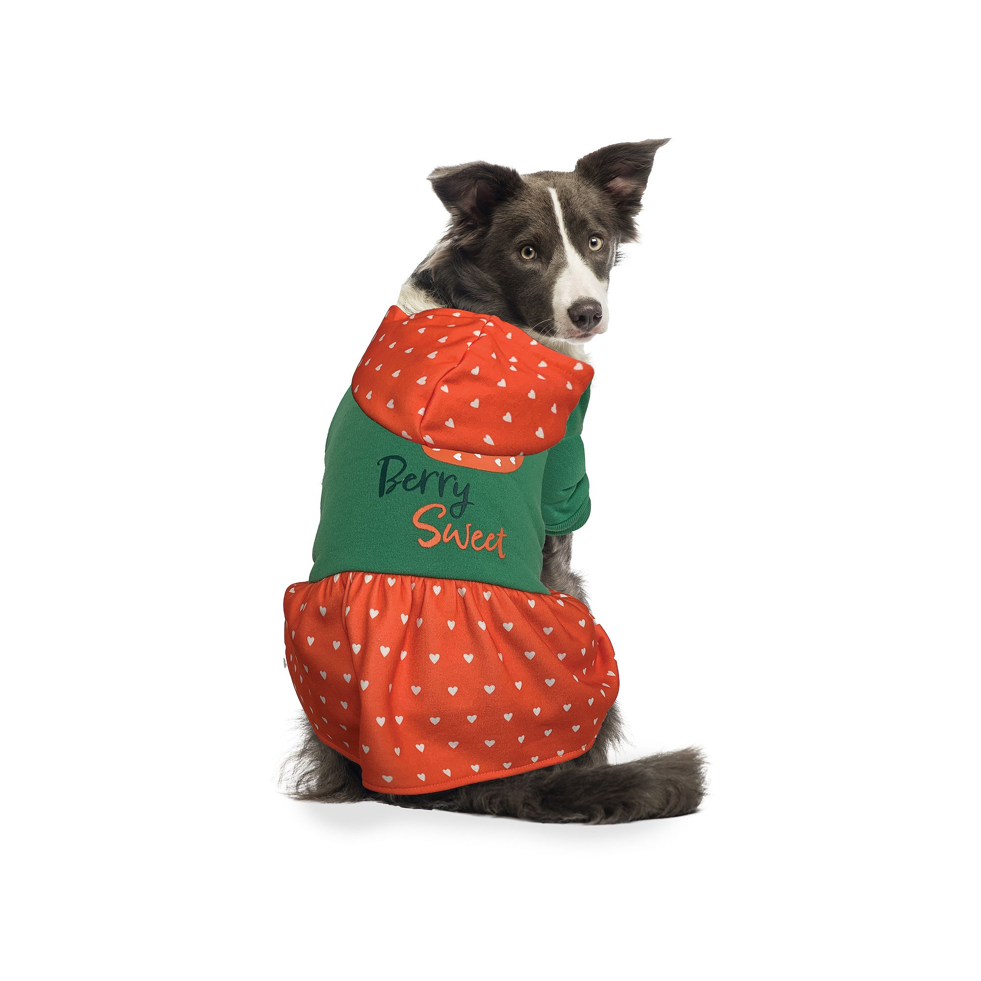 Woof Berry Sweet Hooded Doggy Dress, Size: XL, Multi