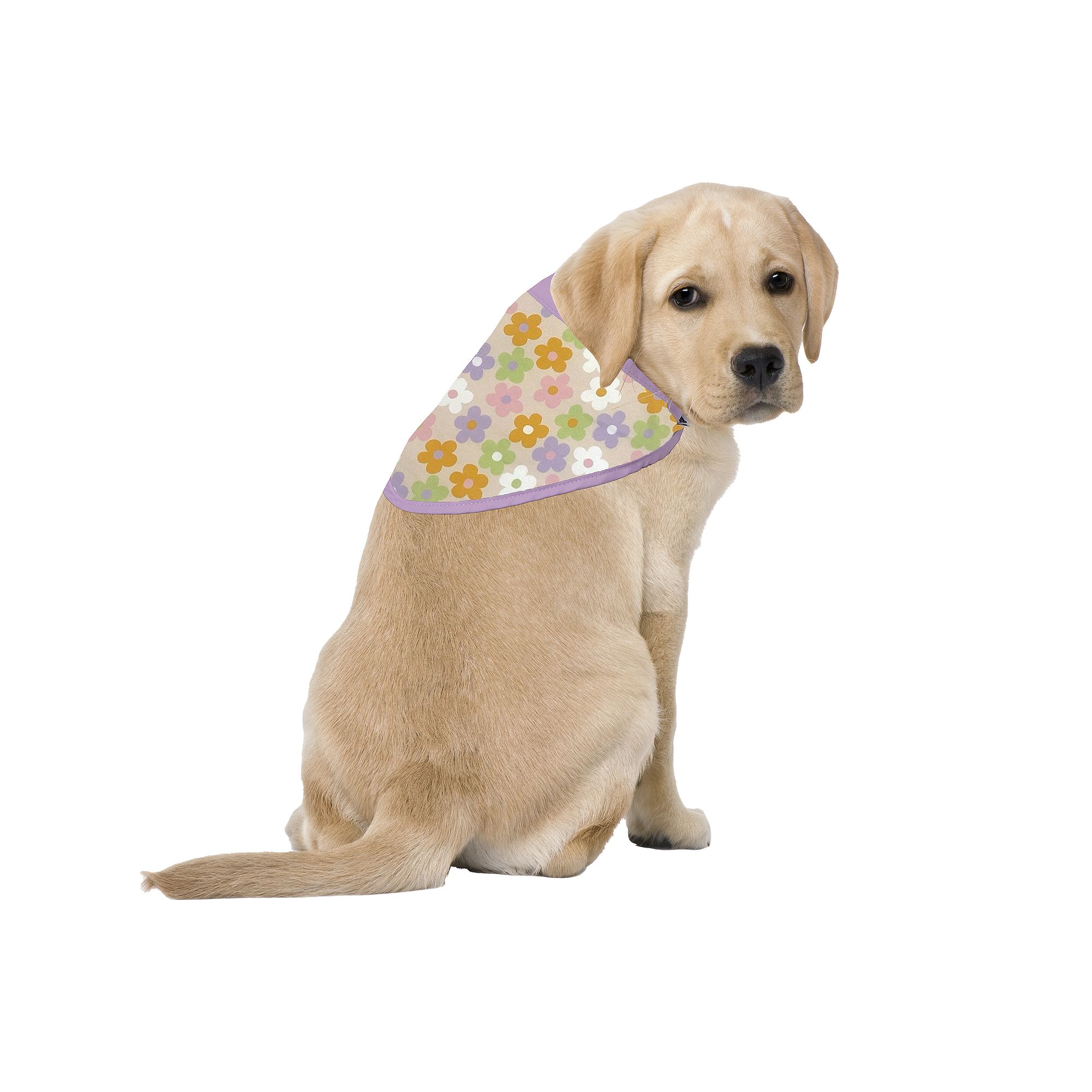 Woof Flower Print Doggy Bandana, Size: Small/Medium, Multi