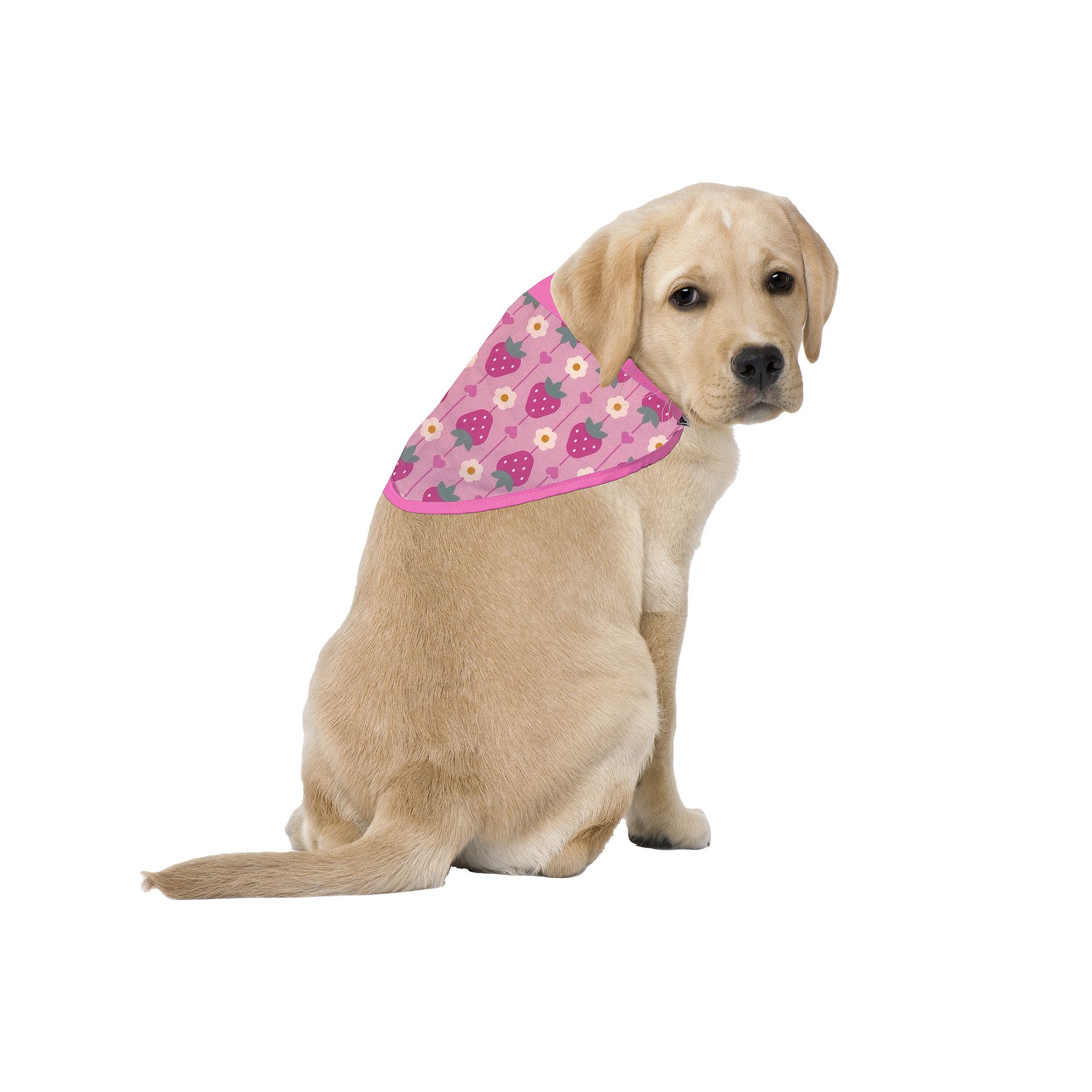 Woof Strawberry Print Doggy Bandana, Size: Small/Medium, Multi