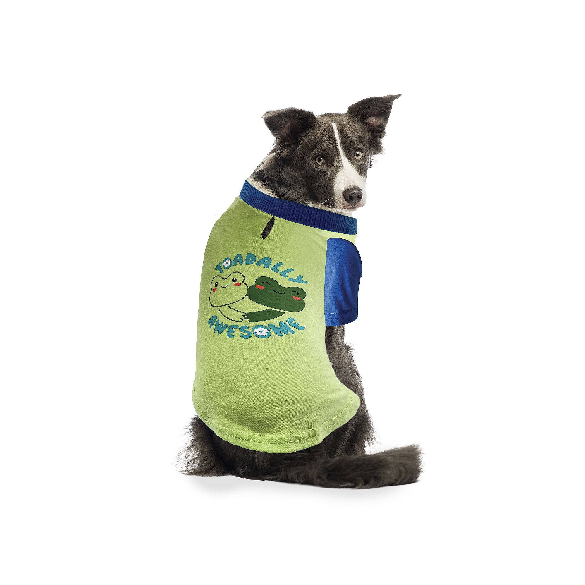 Woof Toadally Awesome Doggy Tee, Size: Small, Multi