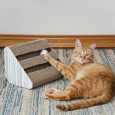 Activity Kitty