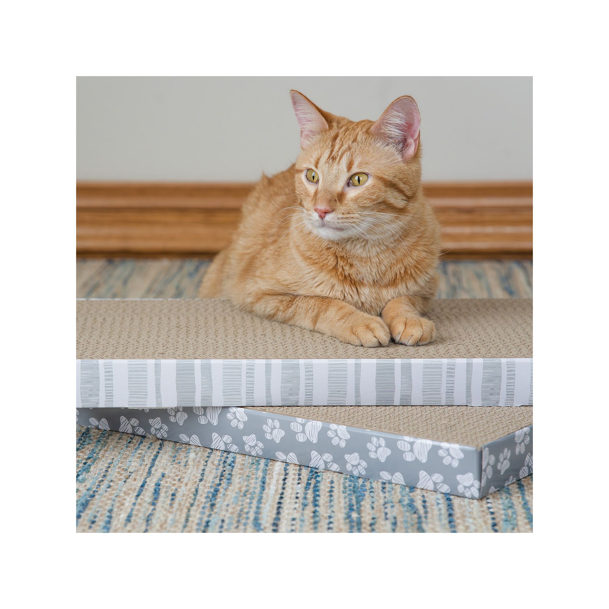 Kitty City 2-Pack XL Cat Scratchers, Multi