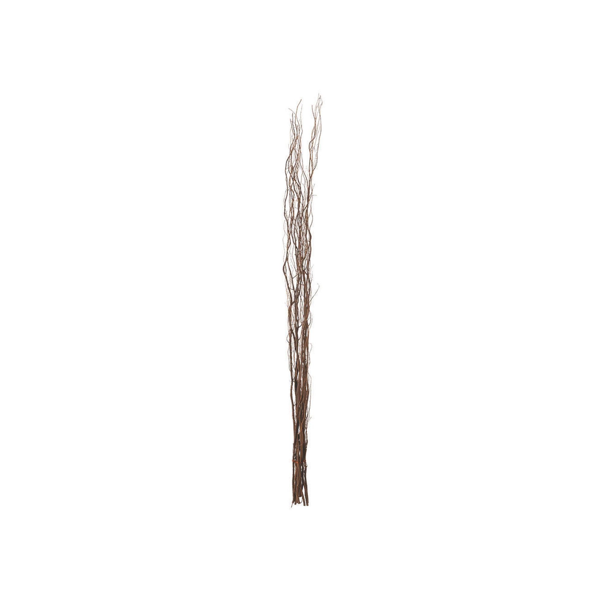 Sullivans 48 in. Natural Brown Stick Bundle