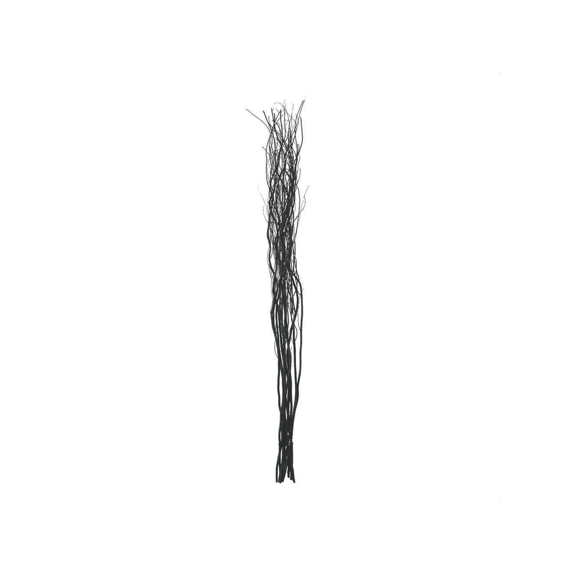 Sullivans 48-in. Black Stick Bundle