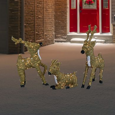 Northlight Pre-Lit Standing Reindeer Outdoor Christmas Decoration