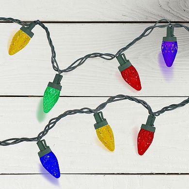 Northlight 50 Count Multi-Color LED Christmas Lights