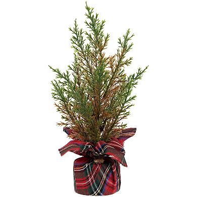 Northlight Mini Cedar Artificial Christmas Trees 3-piece Set