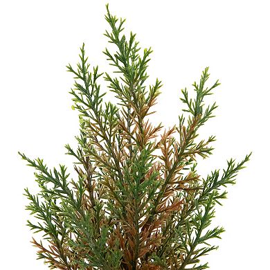 Northlight Mini Cedar Artificial Christmas Trees 3-piece Set
