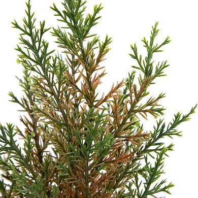 Northlight Mini Cedar Artificial Christmas Trees 3-piece Set