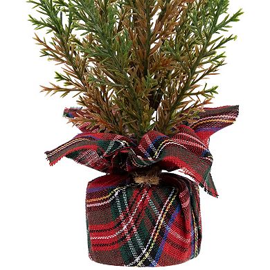 Northlight Mini Cedar Artificial Christmas Trees 3-piece Set