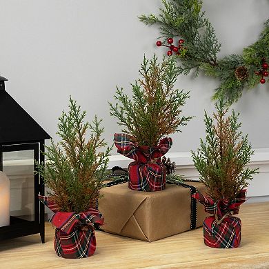 Northlight Mini Cedar Artificial Christmas Trees 3-piece Set