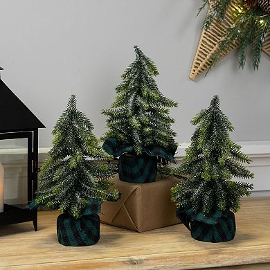 Northlight Mini Iced Downswept Pine Artificial Christmas Trees 3-piece Set